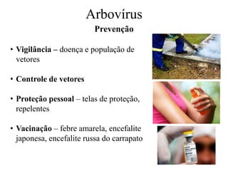 Arbovírus
Prevenção
• Vigilância – doença e população de
vetores
• Controle de vetores
• Proteção pessoal – telas de proteção,
repelentes
• Vacinação – febre amarela, encefalite
japonesa, encefalite russa do carrapato
 