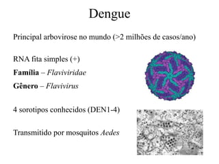 Dengue
Principal arbovirose no mundo (>2 milhões de casos/ano)
RNA fita simples (+)
Família – Flaviviridae
Gênero – Flavivirus
4 sorotipos conhecidos (DEN1-4)
Transmitido por mosquitos Aedes
 
