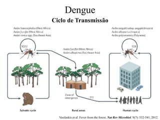 Dengue
Ciclo de Transmissão
Vasilaskis et al. Fever from the forest. Nat Rev Microbiol. 9(7): 532-541, 2012.
 