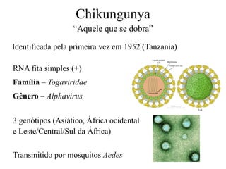 Chikungunya
Identificada pela primeira vez em 1952 (Tanzania)
“Aquele que se dobra”
RNA fita simples (+)
Família – Togaviridae
Gênero – Alphavirus
3 genótipos (Asiático, África ocidental
e Leste/Central/Sul da África)
Transmitido por mosquitos Aedes
 