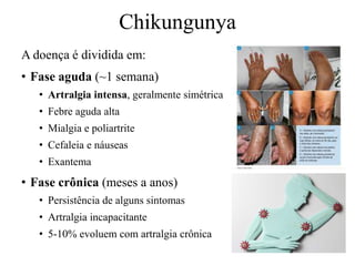 A doença é dividida em:
• Fase aguda (~1 semana)
• Artralgia intensa, geralmente simétrica
• Febre aguda alta
• Mialgia e poliartrite
• Cefaleia e náuseas
• Exantema
• Fase crônica (meses a anos)
• Persistência de alguns sintomas
• Artralgia incapacitante
• 5-10% evoluem com artralgia crônica
Chikungunya
 