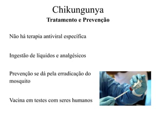 Não há terapia antiviral específica
Ingestão de líquidos e analgésicos
Prevenção se dá pela erradicação do
mosquito
Vacina em testes com seres humanos
Tratamento e Prevenção
Chikungunya
 
