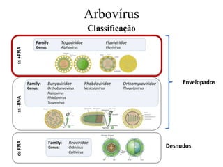 Arbovírus
Classificação
Envelopados
Desnudos
 