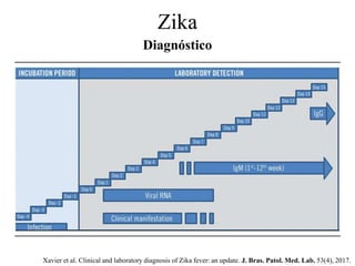 Diagnóstico
Zika
Xavier et al. Clinical and laboratory diagnosis of Zika fever: an update. J. Bras. Patol. Med. Lab. 53(4), 2017.
 
