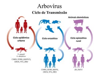 Arbovírus
Ciclo de Transmissão
Animais domésticos
Ciclo epidêmico
urbano
Ciclo enzoótico Ciclo epizoótico
rural
 