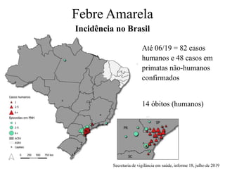 Febre Amarela
Incidência no Brasil
Até 06/19 = 82 casos
humanos e 48 casos em
primatas não-humanos
confirmados
14 óbitos (humanos)
Secretaria de vigilância em saúde, informe 18, julho de 2019
 
