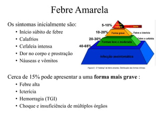 Os sintomas inicialmente são:
• Início súbito de febre
• Calafrios
• Cefaleia intensa
• Dor no corpo e prostração
• Náuseas e vômitos
Cerca de 15% pode apresentar a uma forma mais grave :
• Febre alta
• Icterícia
• Hemorragia (TGI)
• Choque e insuficiência de múltiplos órgãos
Febre Amarela
 