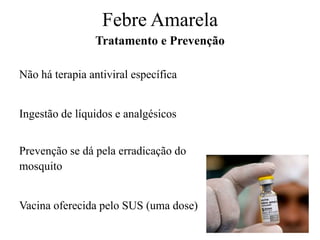 Não há terapia antiviral específica
Ingestão de líquidos e analgésicos
Prevenção se dá pela erradicação do
mosquito
Vacina oferecida pelo SUS (uma dose)
Tratamento e Prevenção
Febre Amarela
 