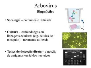 Arbovírus
Diagnóstico
• Sorologia – comumente utilizada
• Cultura – camundongos ou
linhagens celulares (e.g. células de
mosquito) - raramente utilizada
• Testes de detecção direta – detecção
de antígenos ou ácidos nucleicos
 