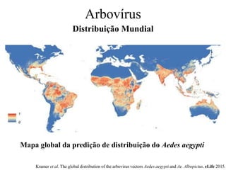 Arbovírus
Distribuição Mundial
Mapa global da predição de distribuição do Aedes aegypti
Kramer et al. The global distribution of the arbovirus vectors Aedes aegypti and Ae. Albopictus. eLife 2015.
 