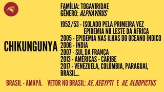 CHIKUNGUNYA
FAMÍLIA: TOGAVIRIDAE
GÊNERO: ALPHAVIRUS
1952/53 - ISOLADO PELA PRIMEIRA VEZ
EPIDEMIA NO LESTE DA ÁFRICA
2005 - EPIDEMIA NAS ILHAS DO OCEANO ÍNDICO
2006 - ÍNDIA
2007 - SUL DA FRANÇA
2013 - AMÉRICAS - CARIBE
2017 - VENEZUELA, COLÔMBIA, PARAGUAI,
BRASIL...
BRASIL - AMAPÁ. VETOR NO BRASIL: AE. AEGYPTI E AE. ALBOPICTUS
 