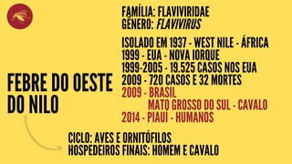 FEBRE DO OESTE
DO NILO
FAMÍLIA: FLAVIVIRIDAE
GÊNERO: FLAVIVIRUS
ISOLADO EM 1937 - WEST NILE - ÁFRICA
1999 - EUA - NOVA IORQUE
1999-2005 - 19.525 CASOS NOS EUA
2009 - 720 CASOS E 32 MORTES
2009 - BRASIL
MATO GROSSO DO SUL - CAVALO
2014 - PIAUÍ - HUMANOS
CICLO: AVES E ORNITÓFILOS
HOSPEDEIROS FINAIS: HOMEM E CAVALO
 