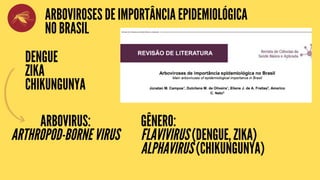 ARBOVIROSES DE IMPORTÂNCIA EPIDEMIOLÓGICA
NO BRASIL
DENGUE
ZIKA
CHIKUNGUNYA
ARBOVIRUS:
ARTHROPOD-BORNE VIRUS
GÊNERO:
FLAVIVIRUS (DENGUE, ZIKA)
ALPHAVIRUS (CHIKUNGUNYA)
 