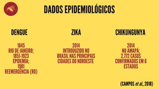 DADOS EPIDEMIOLÓGICOS
DENGUE ZIKA CHIKUNGUNYA
1845
RIO DE JANEIRO;
1851-1923
EPIDEMIA;
1981
REEMERGÊNCIA (RO)
2014
INTRODUZIDO NO
BRASIL NAS PRINCIPAIS
CIDADES DO NORDESTE
2014
NO AMAPÁ;
2.772 CASOS
CONFIRMADOS EM 6
ESTADOS
(CAMPOS et al., 2018)
 