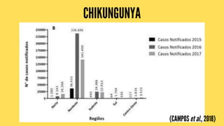 CHIKUNGUNYA
(CAMPOS et al., 2018)
 