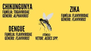 FAMÍLIA: TOGAVIRIDAE
GÊNERO: ALPHAVIRUS
CHIKUNGUNYA ZIKA
FAMÍLIA: FLAVIVIRIDAE
GÊNERO: FLAVIVIRUS
VETOR: AEDES SPP.
(FÊMEA)
DENGUE
FAMÍLIA: FLAVIVIRIDAE
GÊNERO: FLAVIVIRUS
 