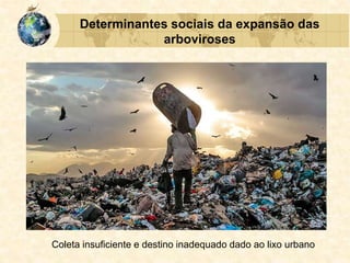 Determinantes sociais da expansão das
arboviroses
Coleta insuficiente e destino inadequado dado ao lixo urbano
 