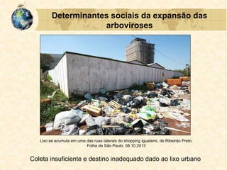 Determinantes sociais da expansão das
arboviroses
Coleta insuficiente e destino inadequado dado ao lixo urbano
Lixo se acumula em uma das ruas laterais do shopping Iguatemi, de Ribeirão Preto.
Folha de São Paulo, 08.10.2013
 