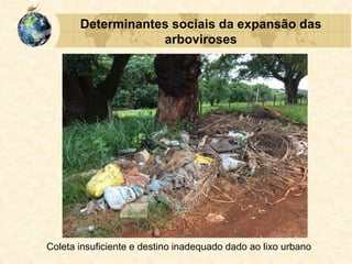 Determinantes sociais da expansão das
arboviroses
Coleta insuficiente e destino inadequado dado ao lixo urbano
 