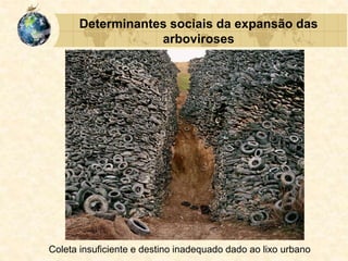 Determinantes sociais da expansão das
arboviroses
Coleta insuficiente e destino inadequado dado ao lixo urbano
 