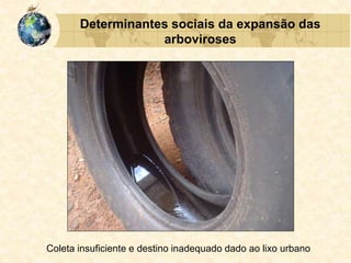 Determinantes sociais da expansão das
arboviroses
Coleta insuficiente e destino inadequado dado ao lixo urbano
 