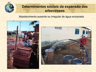 Determinantes sociais da expansão das
arboviroses
Abastecimento ausente ou irregular de água encanada
 