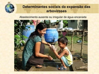 Determinantes sociais da expansão das
arboviroses
Abastecimento ausente ou irregular de água encanada
 