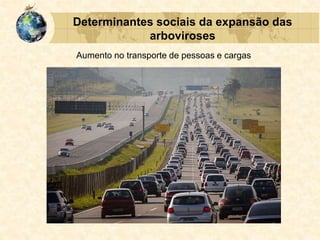 Determinantes sociais da expansão das
arboviroses
Aumento no transporte de pessoas e cargas
 