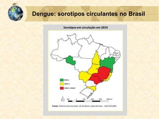 Dengue: sorotipos circulantes no Brasil
 