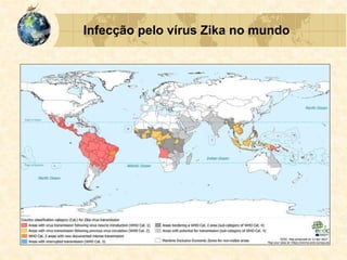 Infecção pelo vírus Zika no mundo
 