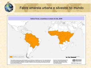 Febre amarela urbana e silvestre no mundo
 