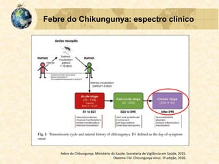 Febre do Chikungunya: espectro clínico
Febre do Chikungunya. Ministério da Saúde, Secretaria de Vigilância em Saúde, 2015.
Okeoma CM. Chicungunya Virus. 1ª edição, 2016.
 