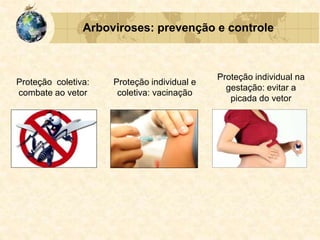 Arboviroses: prevenção e controle
Proteção coletiva:
combate ao vetor
Proteção individual na
gestação: evitar a
picada do vetor
Proteção individual e
coletiva: vacinação
 