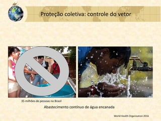 Proteção coletiva: controle do vetor
Abastecimento contínuo de água encanada
World Health Organization 2016
35 milhões de pessoas no Brasil
 