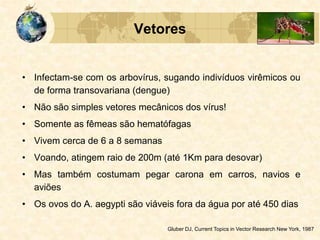 • Infectam-se com os arbovírus, sugando indivíduos virêmicos ou
de forma transovariana (dengue)
• Não são simples vetores mecânicos dos vírus!
• Somente as fêmeas são hematófagas
• Vivem cerca de 6 a 8 semanas
• Voando, atingem raio de 200m (até 1Km para desovar)
• Mas também costumam pegar carona em carros, navios e
aviões
• Os ovos do A. aegypti são viáveis fora da água por até 450 dias
Gluber DJ, Current Topics in Vector Research New York, 1987
Vetores
 