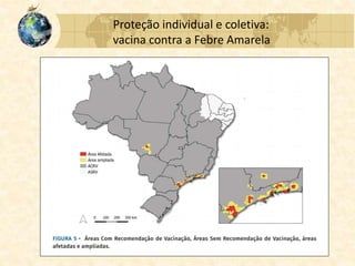 Proteção individual e coletiva:
vacina contra a Febre Amarela
 