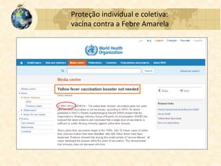 Proteção individual e coletiva:
vacina contra a Febre Amarela
 