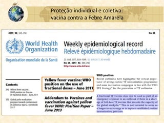 Proteção individual e coletiva:
vacina contra a Febre Amarela
 