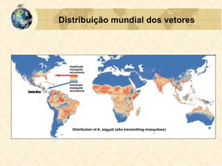 Distribuição mundial dos vetores
 