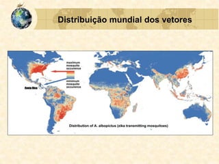 Distribuição mundial dos vetores
 