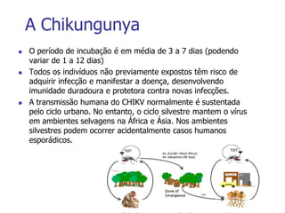 A Chikungunya
 O período de incubação é em média de 3 a 7 dias (podendo
variar de 1 a 12 dias)
 Todos os indivíduos não previamente expostos têm risco de
adquirir infecção e manifestar a doença, desenvolvendo
imunidade duradoura e protetora contra novas infecções.
 A transmissão humana do CHIKV normalmente é sustentada
pelo ciclo urbano. No entanto, o ciclo silvestre mantem o vírus
em ambientes selvagens na África e Ásia. Nos ambientes
silvestres podem ocorrer acidentalmente casos humanos
esporádicos.
 