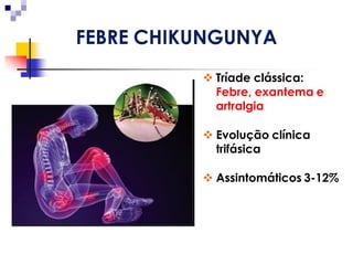 MarionBurger 03/março/2016
FEBRE CHIKUNGUNYA
 Tríade clássica:
Febre, exantema e
artralgia
 Evolução clínica
trifásica
 Assintomáticos 3-12%
 