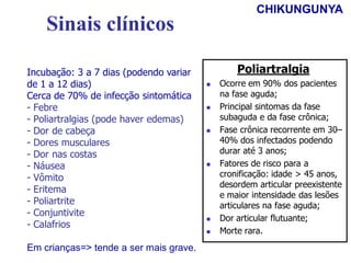 Incubação: 3 a 7 dias (podendo variar
de 1 a 12 dias)
Cerca de 70% de infecção sintomática
- Febre
- Poliartralgias (pode haver edemas)
- Dor de cabeça
- Dores musculares
- Dor nas costas
- Náusea
- Vômito
- Eritema
- Poliartrite
- Conjuntivite
- Calafrios
Em crianças=> tende a ser mais grave.
Sinais clínicos
Poliartralgia
 Ocorre em 90% dos pacientes
na fase aguda;
 Principal sintomas da fase
subaguda e da fase crônica;
 Fase crônica recorrente em 30–
40% dos infectados podendo
durar até 3 anos;
 Fatores de risco para a
cronificação: idade > 45 anos,
desordem articular preexistente
e maior intensidade das lesões
articulares na fase aguda;
 Dor articular flutuante;
 Morte rara.
CHIKUNGUNYA
 