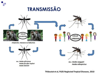 MarionBurger 03/março/2016
Thiboutotet al, PLOS Neglected Tropical Diseases, 2010
TRANSMISSÃO
 