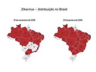Zikavírus – distribuição no Brasil
 