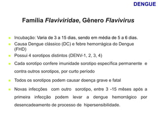  Incubação: Varia de 3 a 15 dias, sendo em média de 5 a 6 dias.
 Causa Dengue clássico (DC) e febre hemorrágica do Dengue
(FHD)
 Possui 4 sorotipos distintos (DENV-1, 2, 3, 4)
 Cada sorotipo confere imunidade sorotipo específica permanente e
contra outros sorotipos, por curto período
 Todos os sorotipos podem causar doença grave e fatal
 Novas infecções com outro sorotipo, entre 3 -15 mêses após a
primeira infecção podem levar a dengue hemorrágico por
desencadeamento de processo de hipersensibilidade.
Família Flaviviridae, Gênero Flavivirus
DENGUE
 