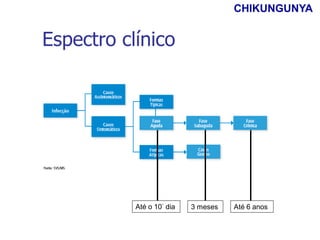 Espectro clínico
Até o 10° dia 3 meses Até 6 anos
CHIKUNGUNYA
 