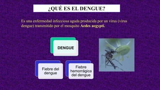 Es una enfermedad infecciosa aguda producida por un virus (virus
dengue) transmitido por el mosquito Aedes aegypti.
DENGUE
Fiebre del
dengue
Fiebre
hemorrágica
del dengue
 