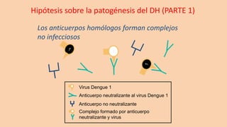 Anticuerpo neutralizante al virus Dengue 1
Virus Dengue 1
Anticuerpo no neutralizante
Complejo formado por anticuerpo
neutralizante y virus
Los anticuerpos homólogos forman complejos
no infecciosos
Hipótesis sobre la patogénesis del DH (PARTE 1)
 