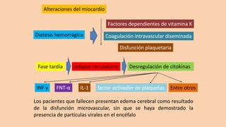 Los pacientes que fallecen presentan edema cerebral como resultado
de la disfunción microvascular, sin que se haya demostrado la
presencia de partículas virales en el encéfalo
Alteraciones del miocardio
Diatesis hemorrágica Coagulación intravascular diseminada
factor activador de plaquetas
Disfunción plaquetaria
Factores dependientes de vitamina K
FNT-α IL-1
Desregulación de citokinas
colapso circulatorio
Fase tardía
INF γ Entre otros
 